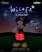 URDU Disney Wisher Series 'A Little Wish' - Mickey & Friends