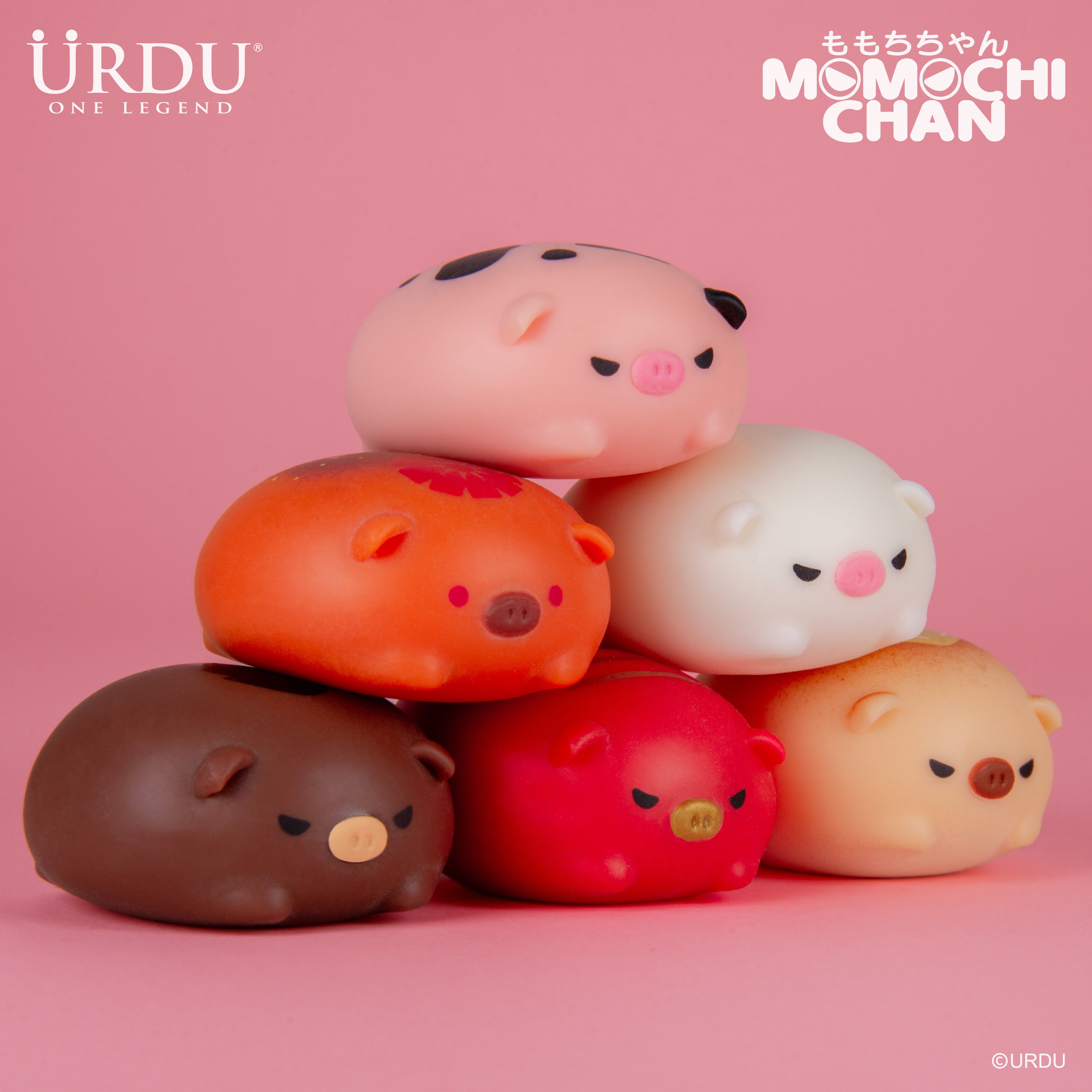 URDU Momochichan Series - Pig