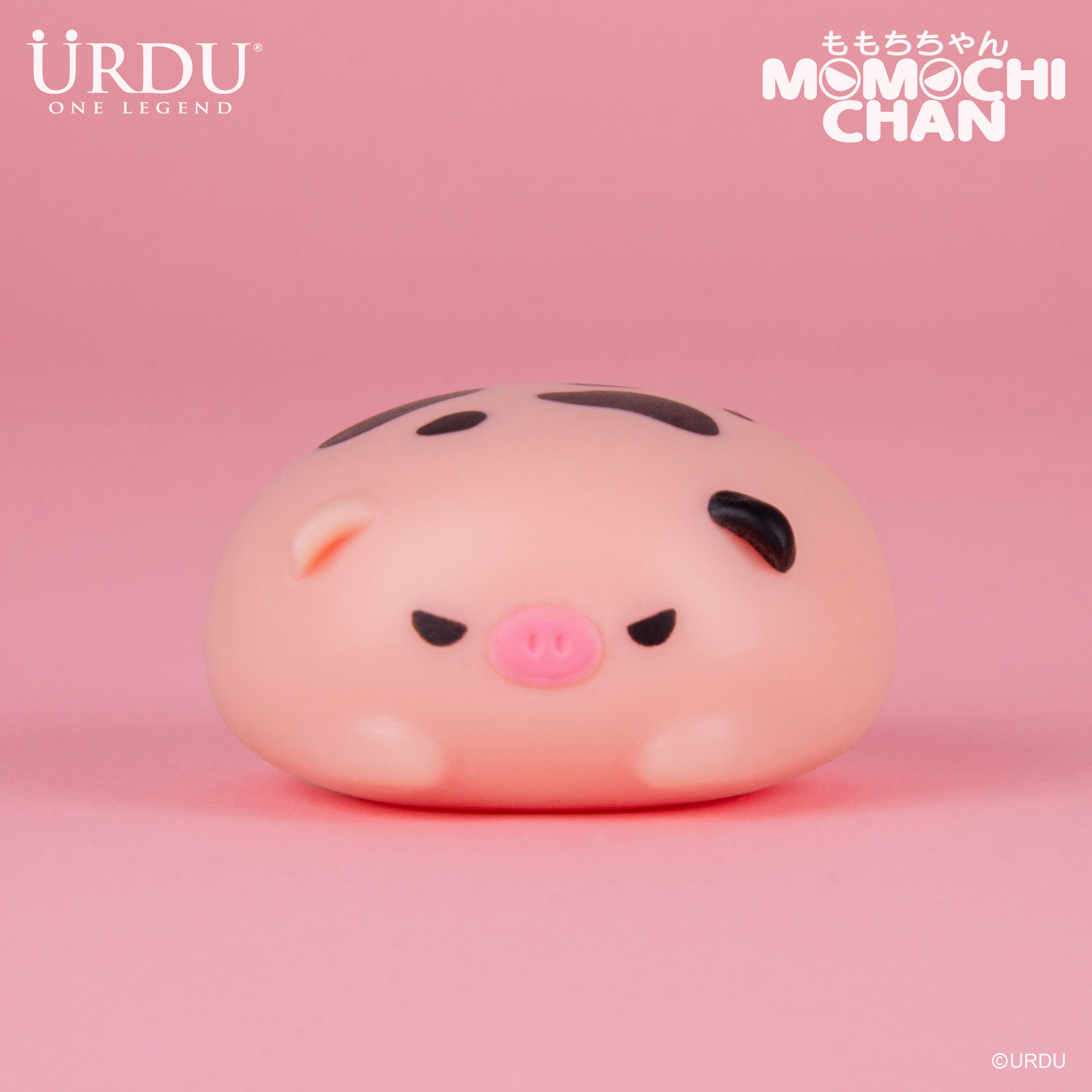 URDU Momochichan Series - Pig