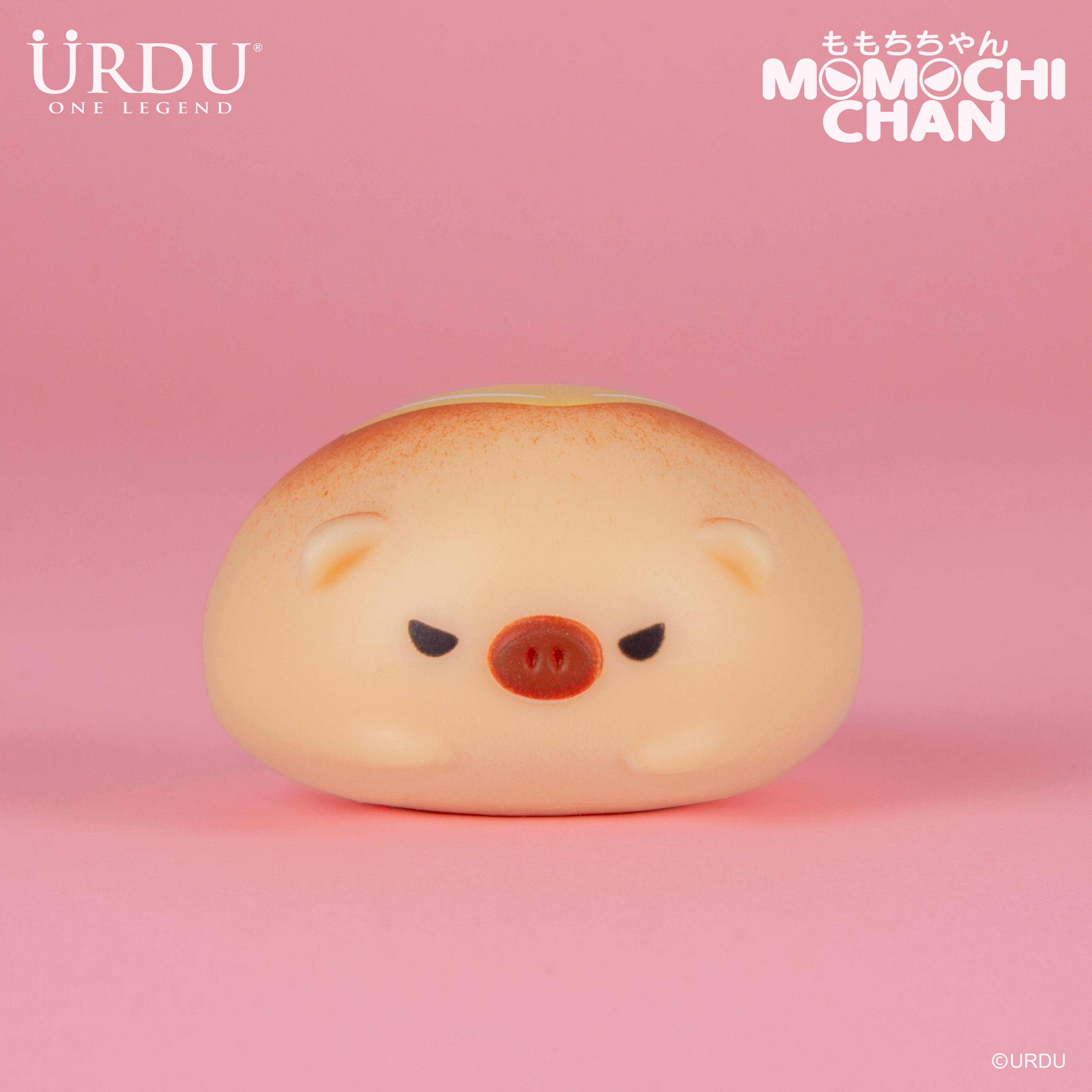URDU Momochichan Series - Pig